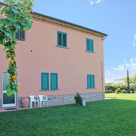 Agriturismo Ferruggini Bolgheri Exterior foto