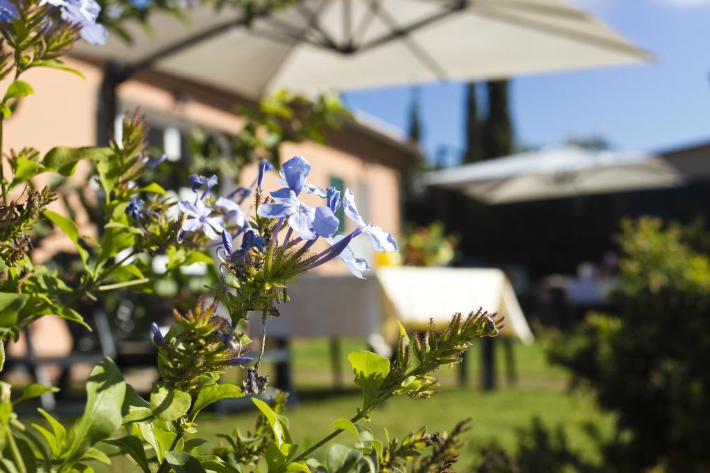 Agriturismo Ferruggini Bolgheri Exterior foto