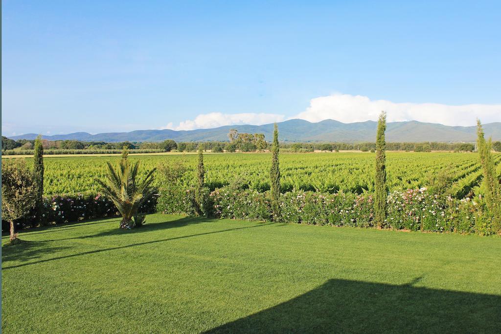 Agriturismo Ferruggini Bolgheri Exterior foto