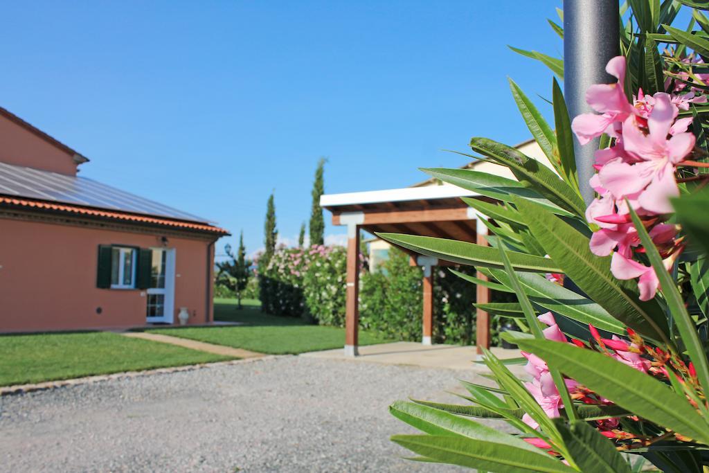 Agriturismo Ferruggini Bolgheri Exterior foto